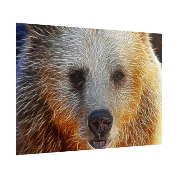101875-594.jpg Syrian Bear Face Poster