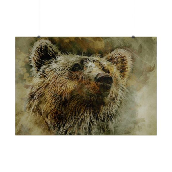 Grizzly Bear Kodiak Head Poster