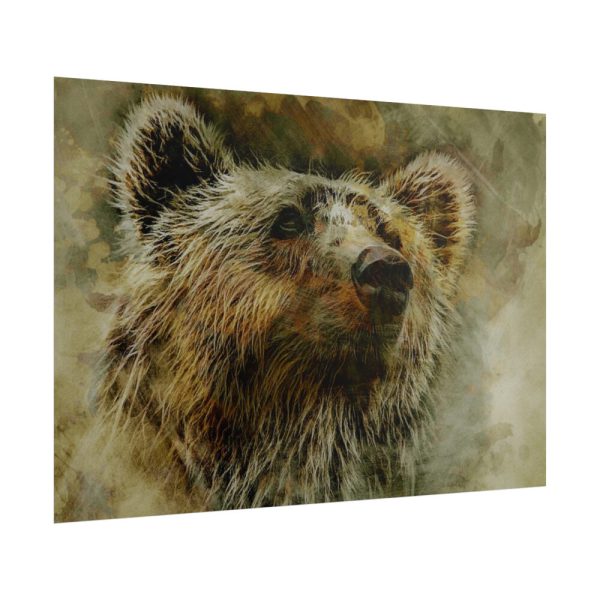 Grizzly Bear Kodiak Head Poster