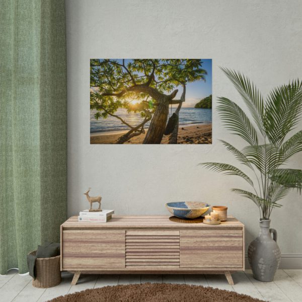 101875-610.jpg Sneaker Hanging from a Sand Beach Tree at Sunset Poster