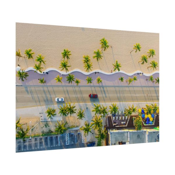 Palm Tree-Lined Road Poster