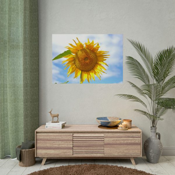 101875-63.jpg Sunflower with Blue Sky Poster