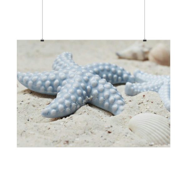 101875-673.jpg Starfish Poster