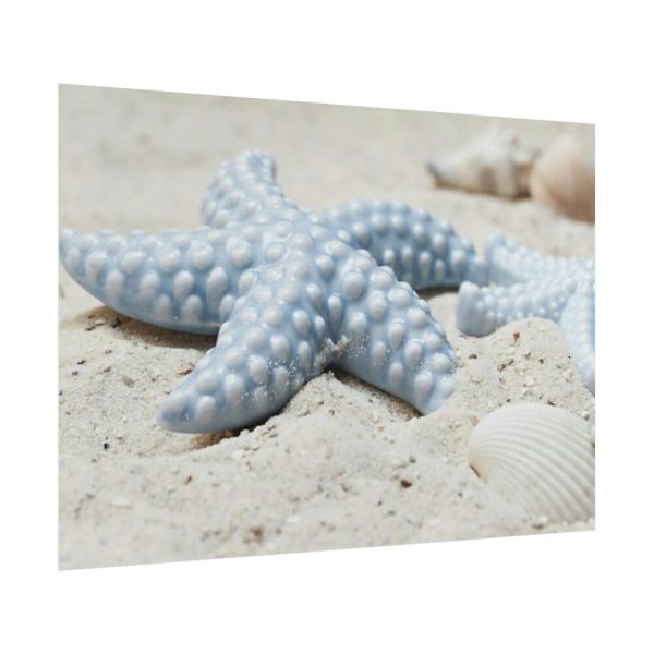 101875-674.jpg Starfish Poster