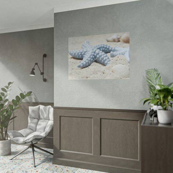 101875-676.jpg Starfish Poster