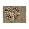 101875-677.jpg Heart Stones on Beach Poster