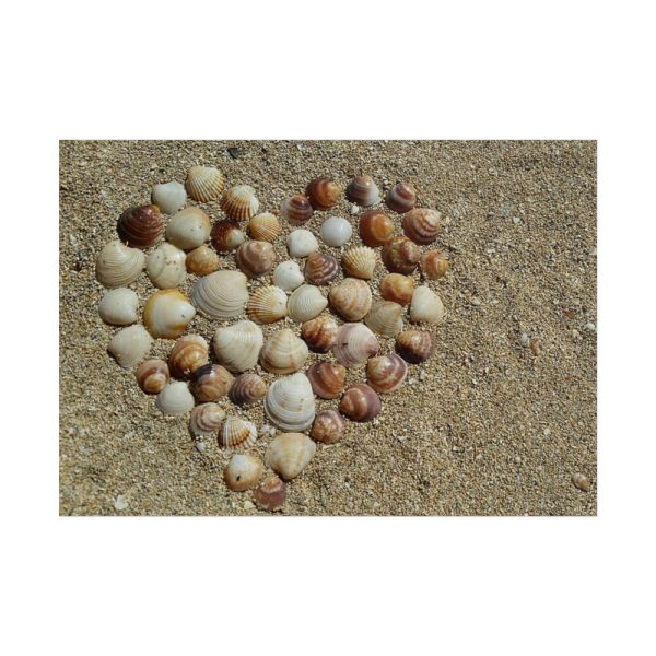 101875-677.jpg Heart Stones on Beach Poster