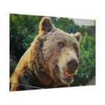 Grizzly Bear Snout Poster - Image 13