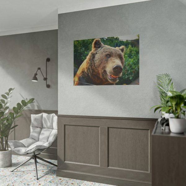 Grizzly Bear Snout Poster