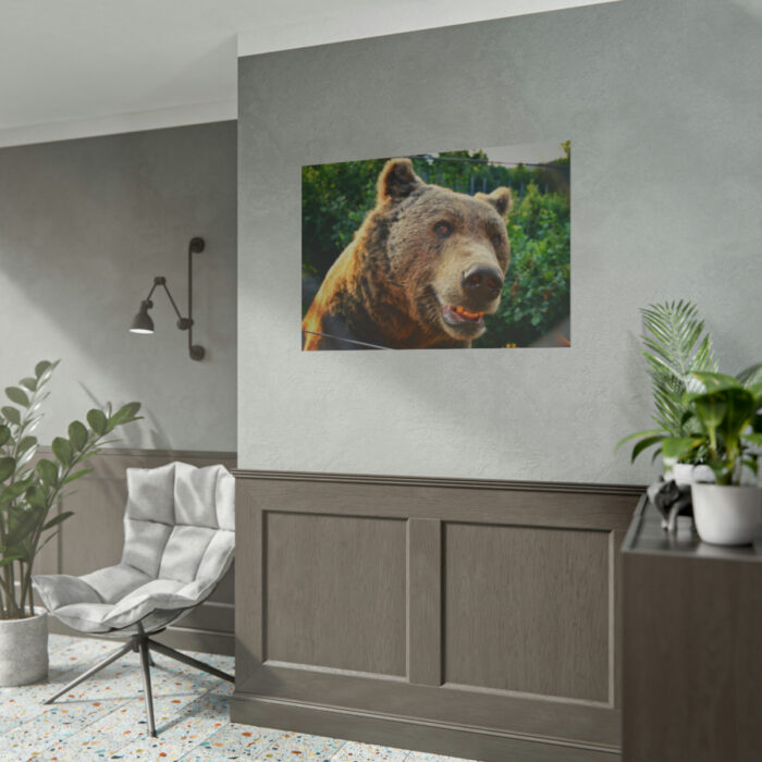 Grizzly Bear Snout Poster - Image 15