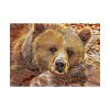101875-692.jpg Fractal Bear Poster