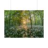 101875-703.jpg Forest at Sunset with Bear's Garlic Poster