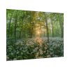 101875-704.jpg Forest at Sunset with Bear's Garlic Poster