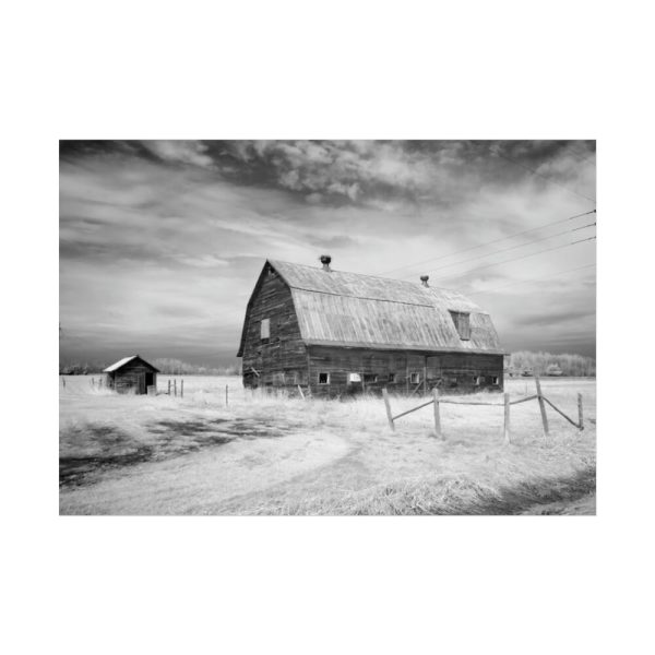 Barn by Carol M. Highsmith Poster