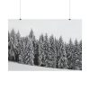 101875-723.jpg Snow Covered Trees in Forest Poster