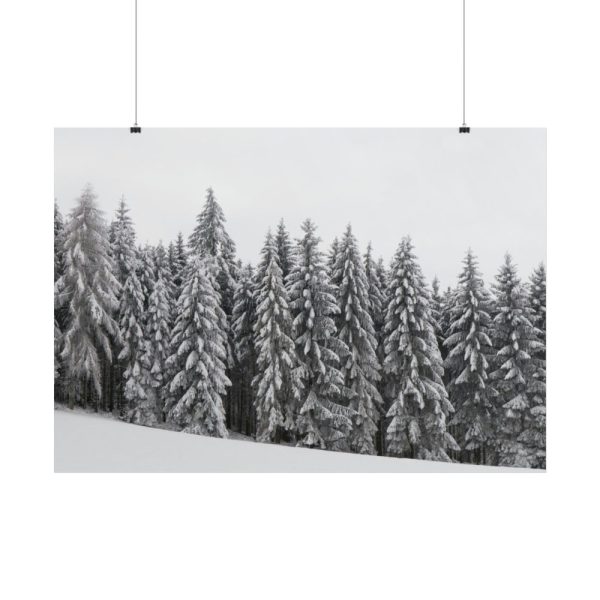 101875-723.jpg Snow Covered Trees in Forest Poster