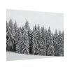 101875-724.jpg Snow Covered Trees in Forest Poster