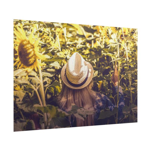 101875-78.jpg Love Sunflowers Poster
