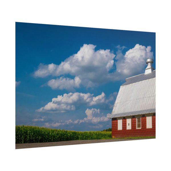 101875-82.jpg Cornfield and Red Barn Scenic Poster