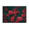 101875-88.jpg Bunch of Red Roses Poster