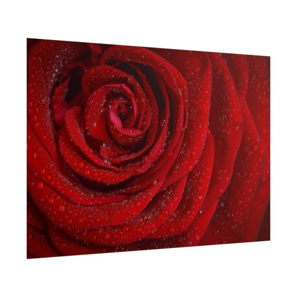 101875-94.jpg Red Rose Poster