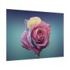 101875-98.jpg Multicolorful Rose Poster