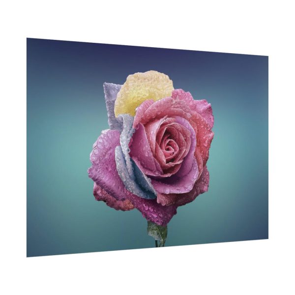 101875-98.jpg Multicolorful Rose Poster