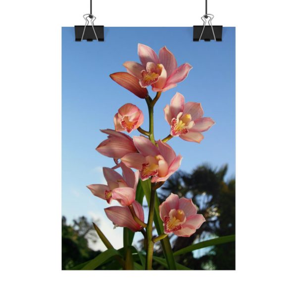 Pink Orchid Flowers Poster