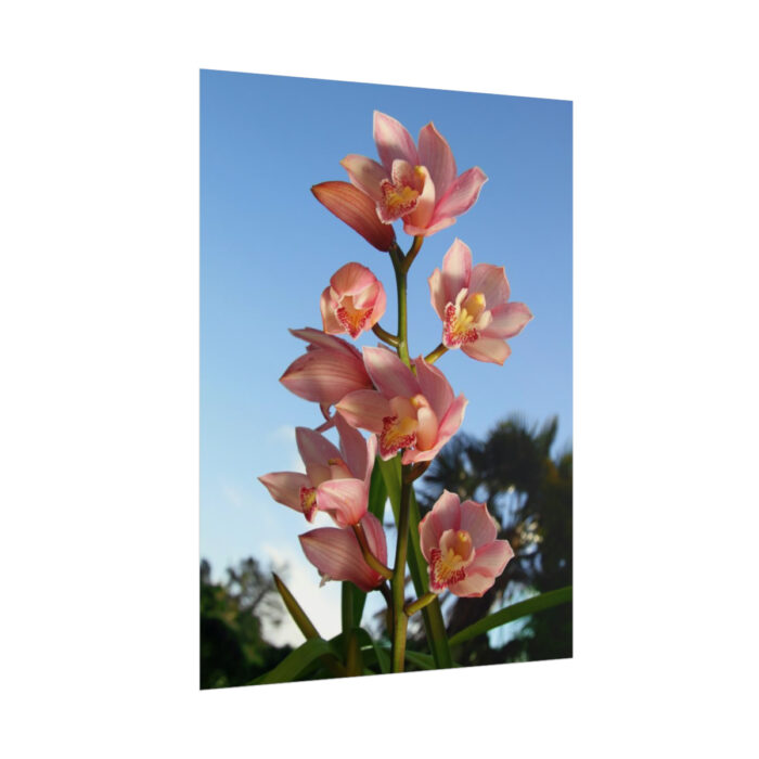 Pink Orchid Flowers Poster - Image 33