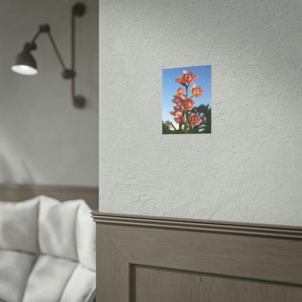 Pink Orchid Flowers Poster