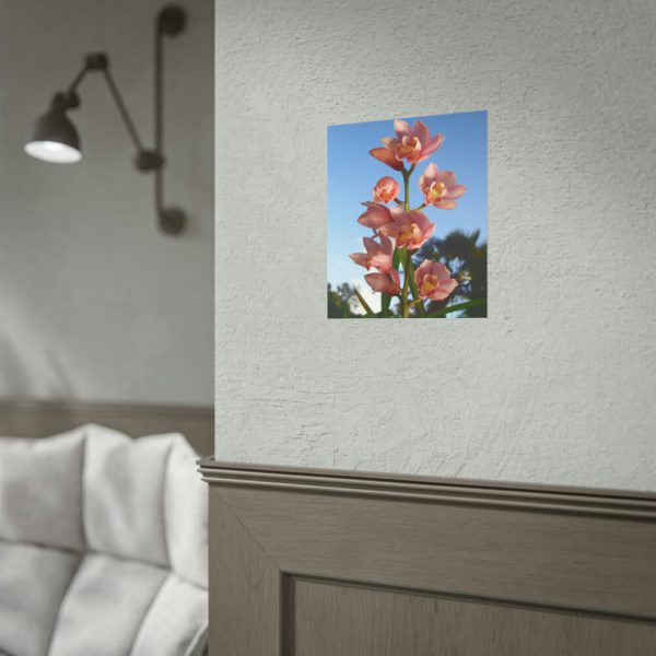 Pink Orchid Flowers Poster