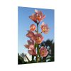 Pink Orchid Flowers Poster