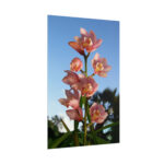 Pink Orchid Flowers Poster - Image 138