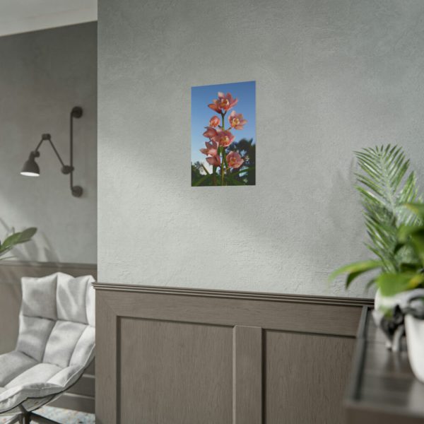 Pink Orchid Flowers Poster