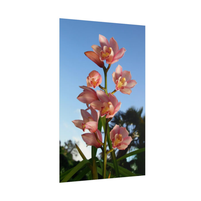 Pink Orchid Flowers Poster - Image 228