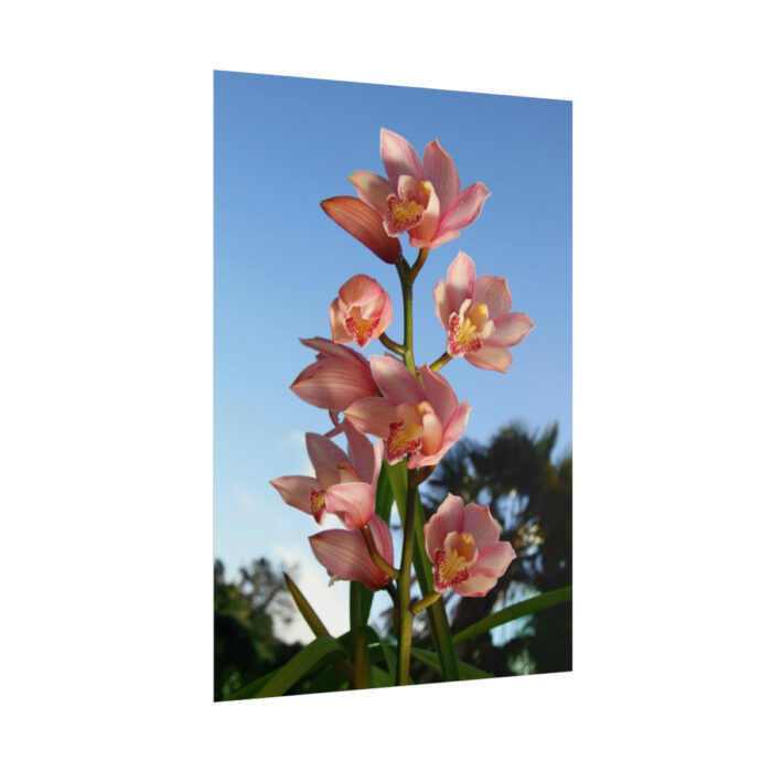 Pink Orchid Flowers Poster - Image 243