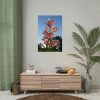 Pink Orchid Flowers Poster
