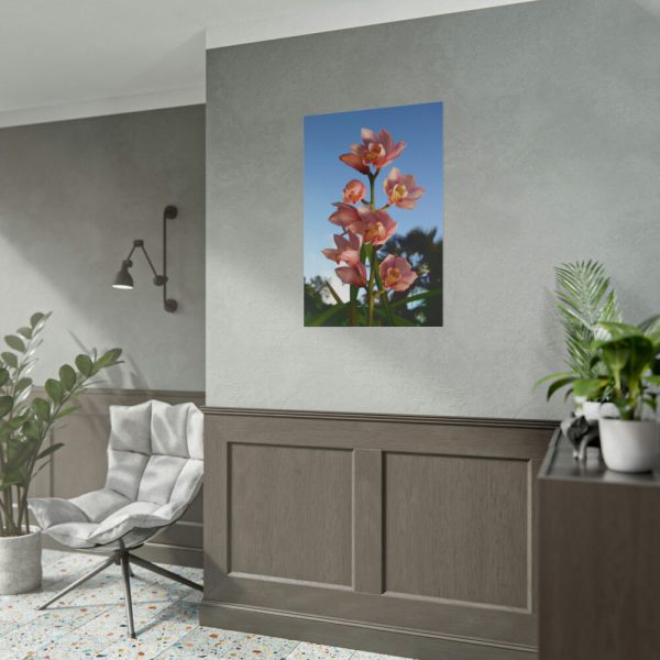 Pink Orchid Flowers Poster