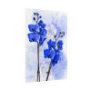 Phalaenopsis Orchid Flower Poster