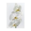 White Orchid Poster