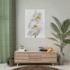 White Orchid Poster