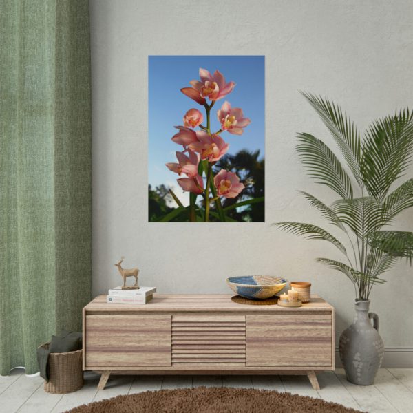 Pink Orchid Flowers Poster