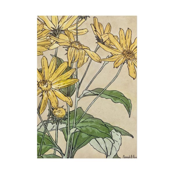 101894-28.jpg Sunflowers by Hannah Borger Overbeck Poster