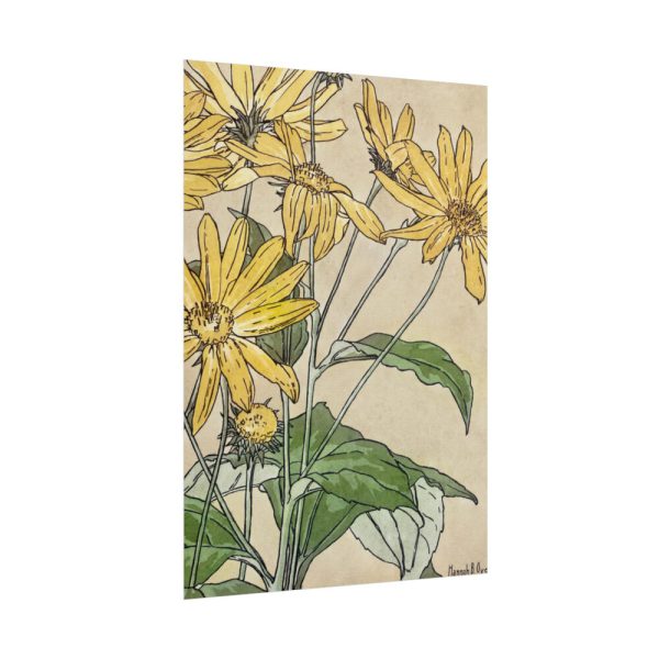 101894-30.jpg Sunflowers by Hannah Borger Overbeck Poster