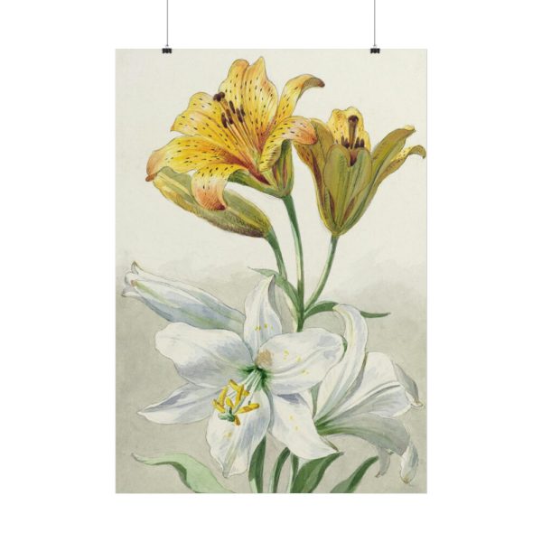 Yellow and White Lilies by William van Leen Poster