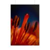101894-57.jpg Flower pollen Poster