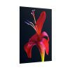Red Flower Poster
