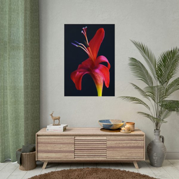 Red Flower Poster