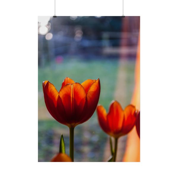 Spring Poster