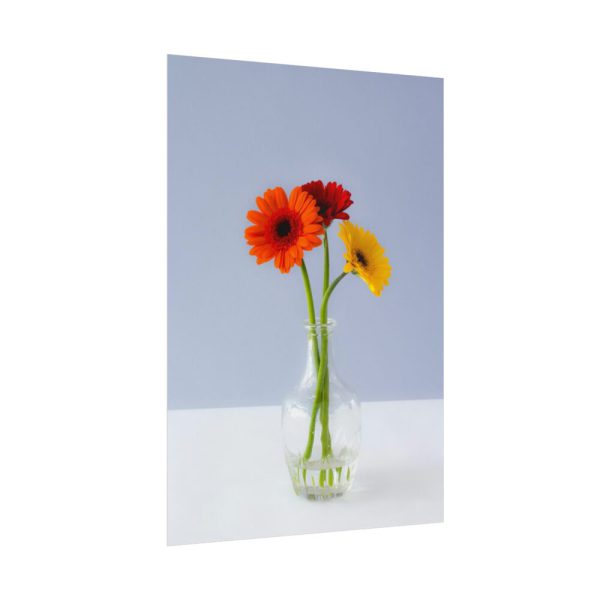 Three Daisies Poster